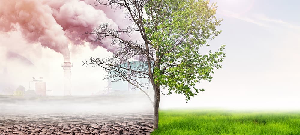directiva 2024/825 greenwashing